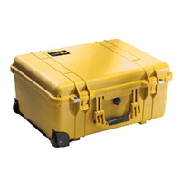 1560 Protector Case with Foam & Stainless Steel Hardware and Padlock Protectors
