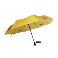 Small Light Portable and Automatic Folding Rain Umbrella