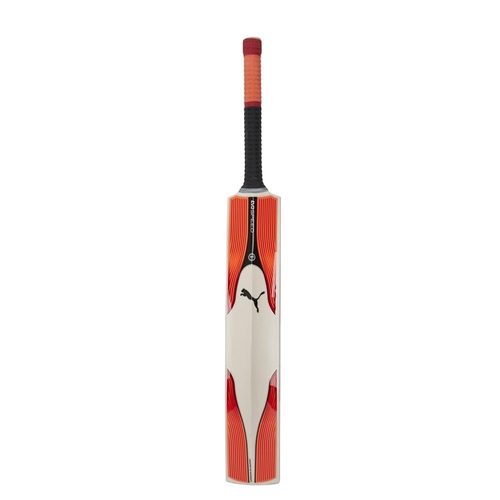 Evospeed 6.17 English Willow Cricket Bat