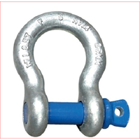 Bow Shackles  image