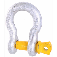 Bow Shackles  main image