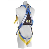 Body Safety Harness image