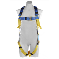 Body Safety Harness main image